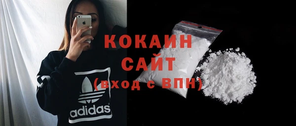 хмурый Вяземский